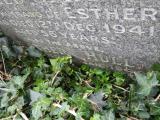 image of grave number 683700